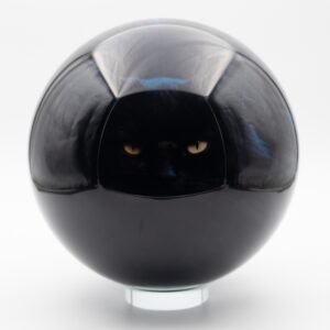 Black Cat Bowling Ball – Clear Coat, USBC Approved